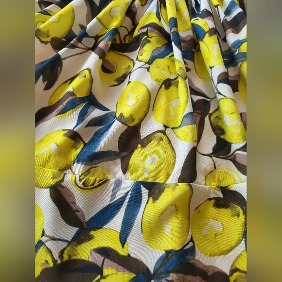 Elodie Cottagecore Lemon Sleeveless Mini Dress w/Buttons & Collar, Size Small - Picture 13 of 15